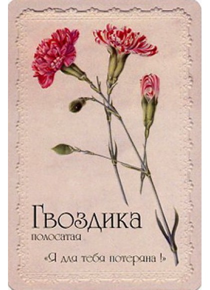 Оракул «Селам или Язык Цветов»